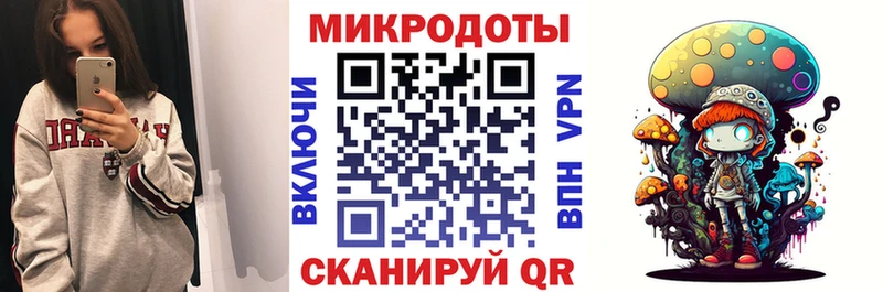 купить   Приморск  Псилоцибиновые грибы Psilocybe 